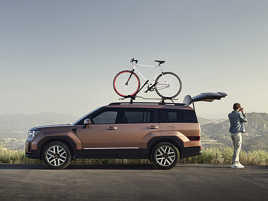 Бічні лінії оздоблення, матова хромована оптика | Хюндай Мотор Україна - фото 12